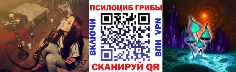 Галлюциногенные грибы Psilocybe  Ак-Довурак 